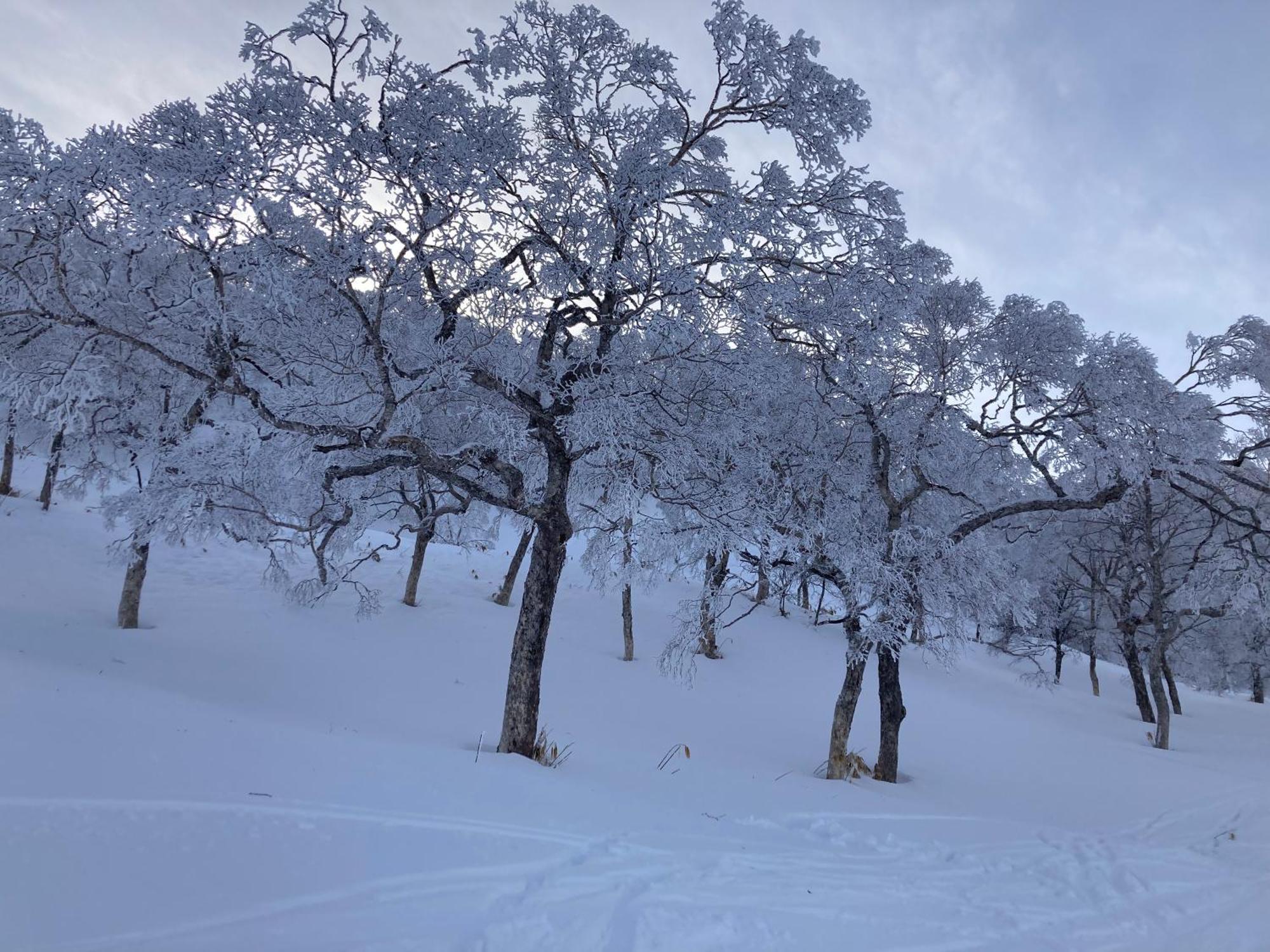 Murmeln Yuzawa  Buitenkant foto