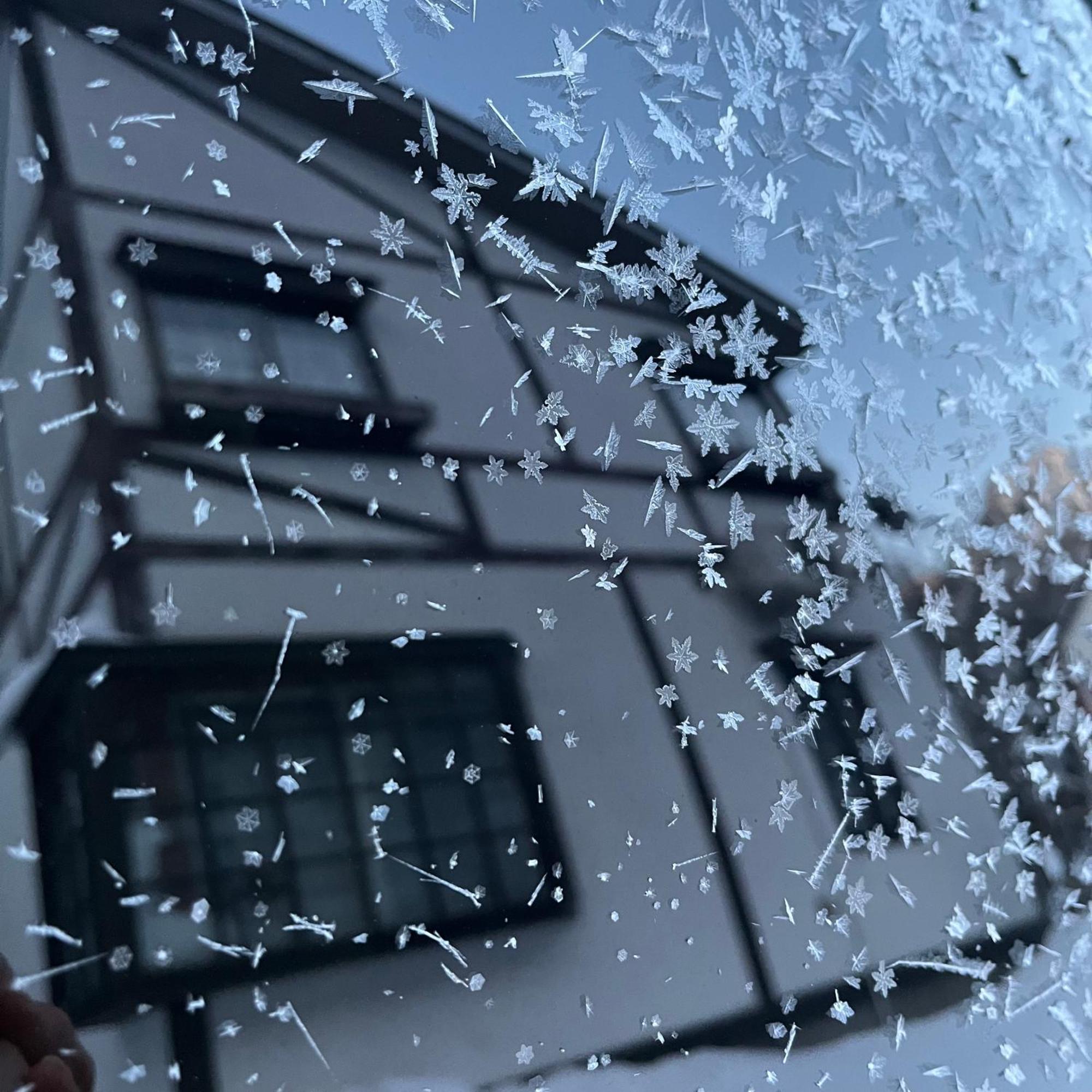 Murmeln Yuzawa  Buitenkant foto